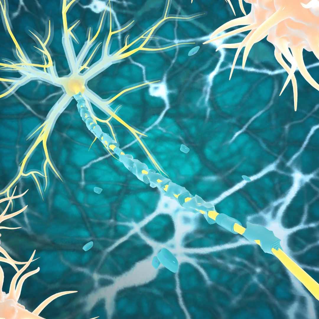 Understanding and Managing Autoimmune Diseases